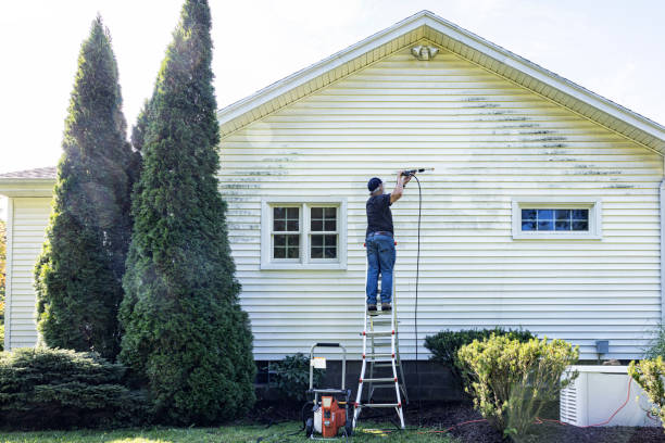 Professional Pressure Washing Services in Lake Park, IA